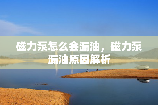 磁力泵怎么会漏油，磁力泵漏油原因解析