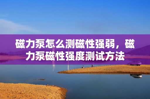 磁力泵怎么测磁性强弱，磁力泵磁性强度测试方法