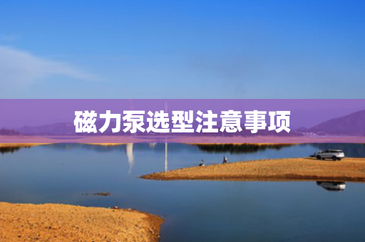 磁力泵选型注意事项