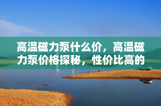 高温磁力泵什么价，高温磁力泵价格探秘，性价比高的选择
