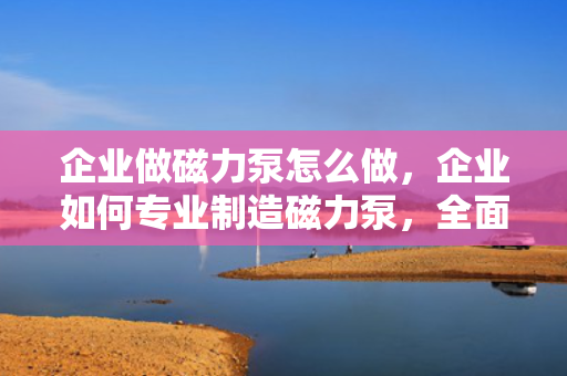 企业做磁力泵怎么做，企业如何专业制造磁力泵，全面指南