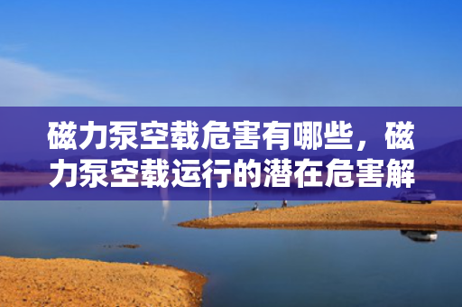 磁力泵空载危害有哪些，磁力泵空载运行的潜在危害解析