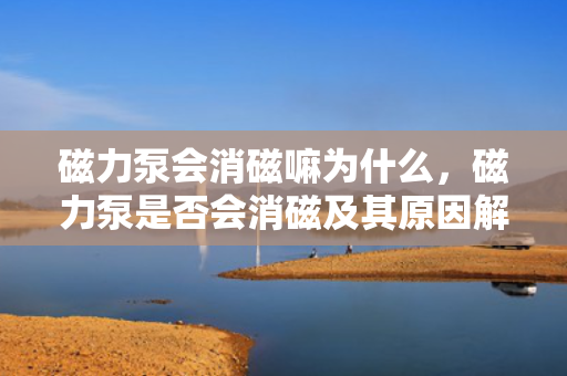 磁力泵会消磁嘛为什么，磁力泵是否会消磁及其原因解析