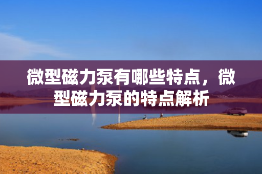 微型磁力泵有哪些特点，微型磁力泵的特点解析