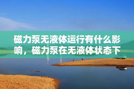 磁力泵无液体运行有什么影响，磁力泵在无液体状态下运行的影响解析