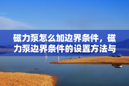 磁力泵怎么加边界条件，磁力泵边界条件的设置方法与步骤