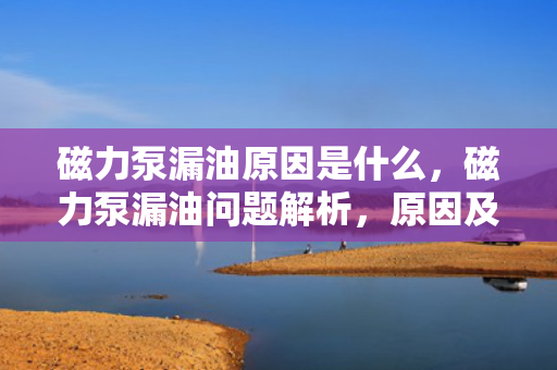 磁力泵漏油原因是什么，磁力泵漏油问题解析，原因及应对措施