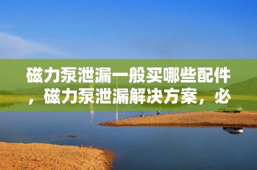 磁力泵泄漏一般买哪些配件，磁力泵泄漏解决方案，必备配件购买指南