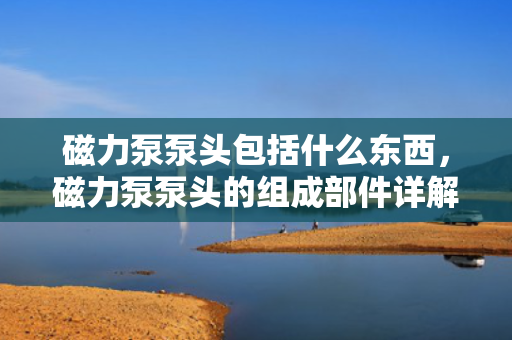 磁力泵泵头包括什么东西，磁力泵泵头的组成部件详解