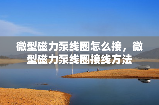 微型磁力泵线圈怎么接，微型磁力泵线圈接线方法