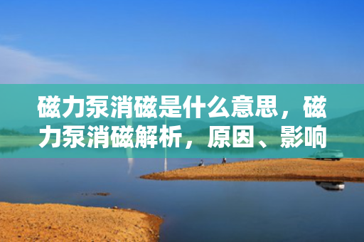 磁力泵消磁是什么意思，磁力泵消磁解析，原因、影响及应对措施