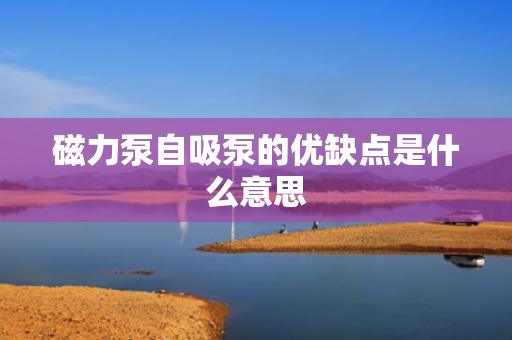 磁力泵自吸泵的优缺点是什么意思