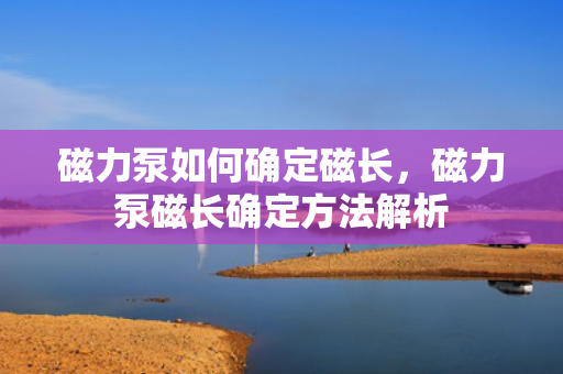 磁力泵如何确定磁长，磁力泵磁长确定方法解析