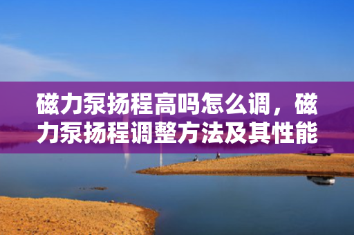 磁力泵扬程高吗怎么调，磁力泵扬程调整方法及其性能提升策略