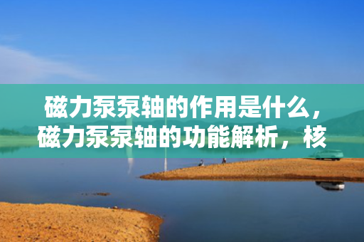 磁力泵泵轴的作用是什么，磁力泵泵轴的功能解析，核心作用与运转机制