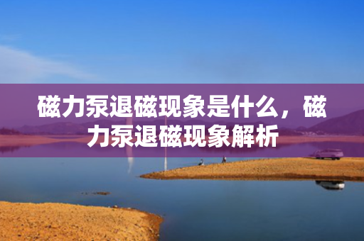 磁力泵退磁现象是什么，磁力泵退磁现象解析