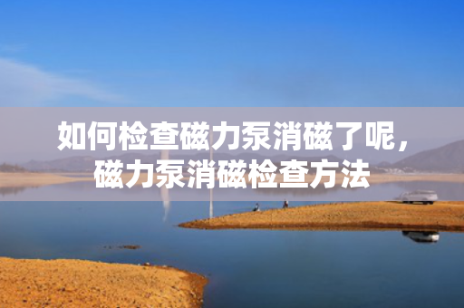 如何检查磁力泵消磁了呢，磁力泵消磁检查方法