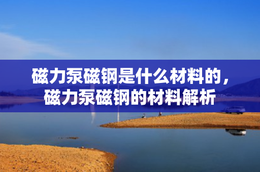 磁力泵磁钢是什么材料的，磁力泵磁钢的材料解析