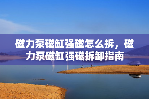 磁力泵磁缸强磁怎么拆，磁力泵磁缸强磁拆卸指南