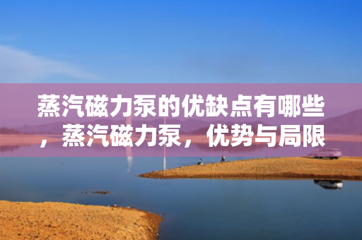 蒸汽磁力泵的优缺点有哪些，蒸汽磁力泵，优势与局限一览