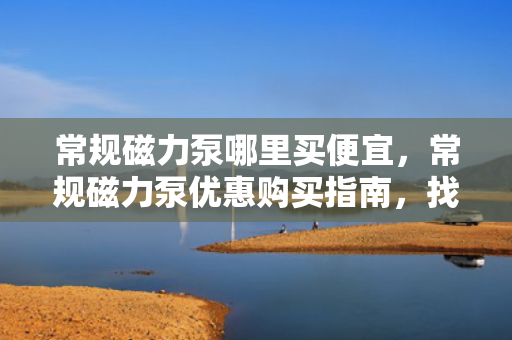 常规磁力泵哪里买便宜，常规磁力泵优惠购买指南，找到最便宜的购买渠道