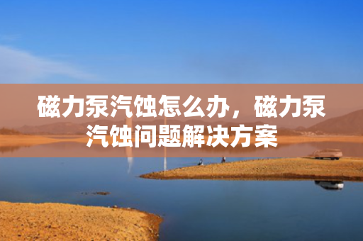 磁力泵汽蚀怎么办，磁力泵汽蚀问题解决方案