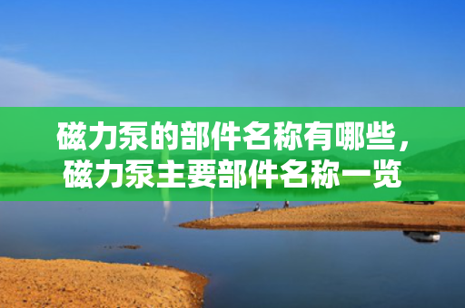 磁力泵的部件名称有哪些，磁力泵主要部件名称一览