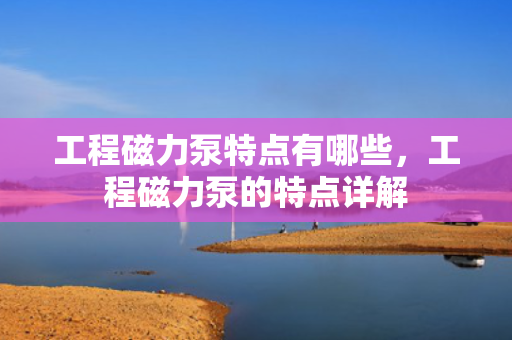 工程磁力泵特点有哪些，工程磁力泵的特点详解
