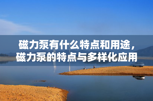 磁力泵有什么特点和用途，磁力泵的特点与多样化应用解析