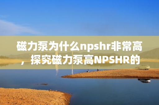 磁力泵为什么npshr非常高，探究磁力泵高NPSHR的原因