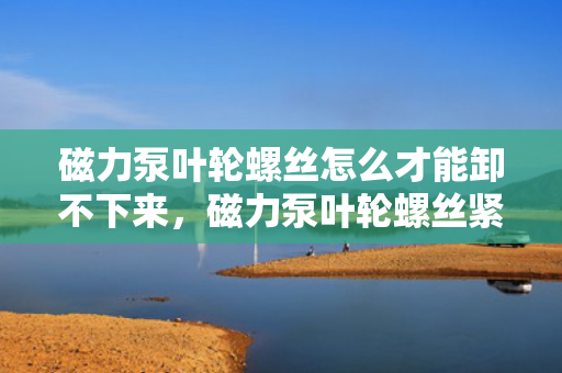 磁力泵叶轮螺丝怎么才能卸不下来，磁力泵叶轮螺丝紧固无法卸下解决方案