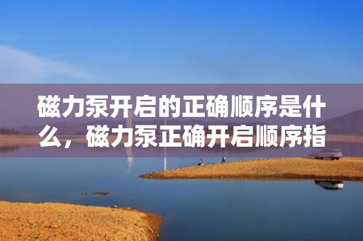 磁力泵开启的正确顺序是什么，磁力泵正确开启顺序指南