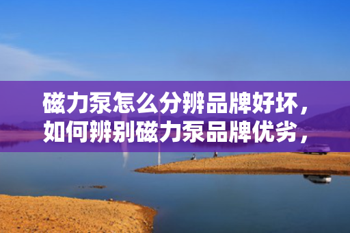 磁力泵怎么分辨品牌好坏，如何辨别磁力泵品牌优劣，一份实用指南
