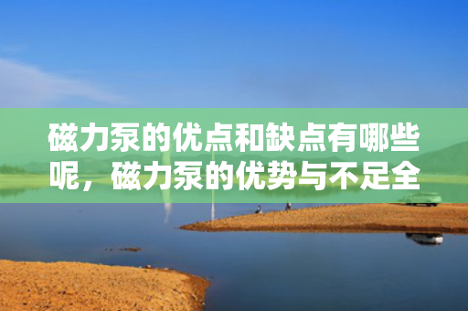 磁力泵的优点和缺点有哪些呢，磁力泵的优势与不足全面解析
