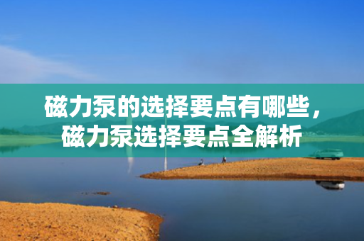 磁力泵的选择要点有哪些，磁力泵选择要点全解析