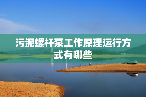 污泥螺杆泵工作原理运行方式有哪些