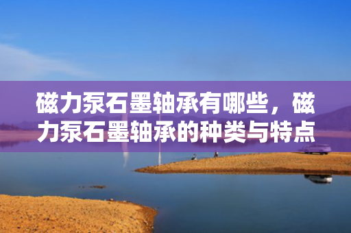 磁力泵石墨轴承有哪些，磁力泵石墨轴承的种类与特点解析