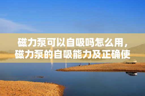 磁力泵可以自吸吗怎么用，磁力泵的自吸能力及正确使用方法解析