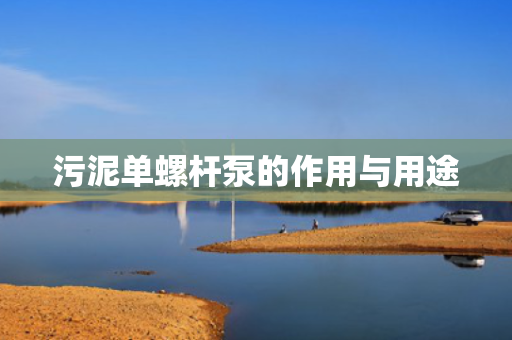 污泥单螺杆泵的作用与用途