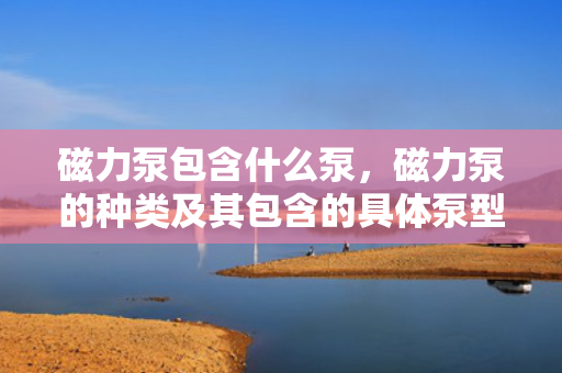 磁力泵包含什么泵，磁力泵的种类及其包含的具体泵型