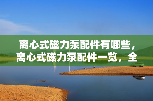 离心式磁力泵配件有哪些，离心式磁力泵配件一览，全面了解所需部件