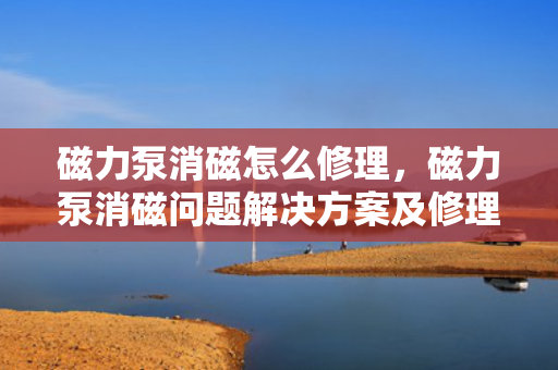磁力泵消磁怎么修理，磁力泵消磁问题解决方案及修理指南