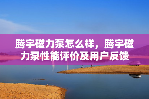 腾宇磁力泵怎么样，腾宇磁力泵性能评价及用户反馈