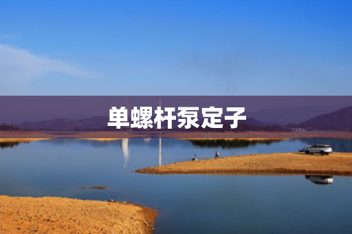 单螺杆泵定子
