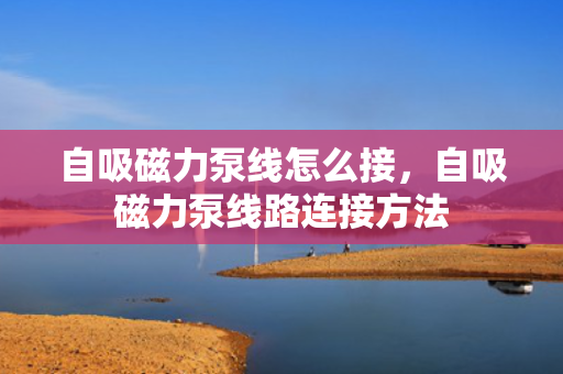 自吸磁力泵线怎么接，自吸磁力泵线路连接方法