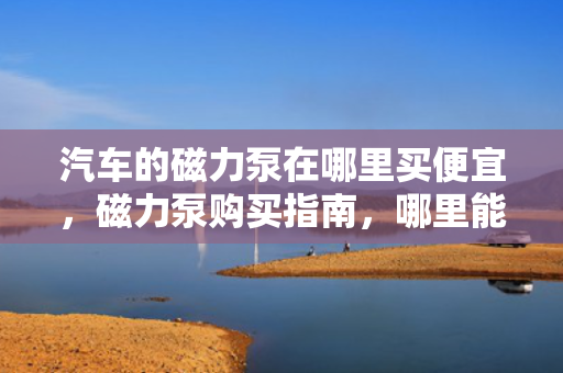 汽车的磁力泵在哪里买便宜，磁力泵购买指南，哪里能找到价格实惠的汽车磁力泵？