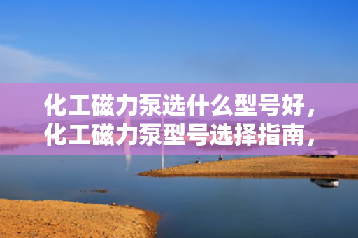化工磁力泵选什么型号好，化工磁力泵型号选择指南，如何挑选最适合的型号