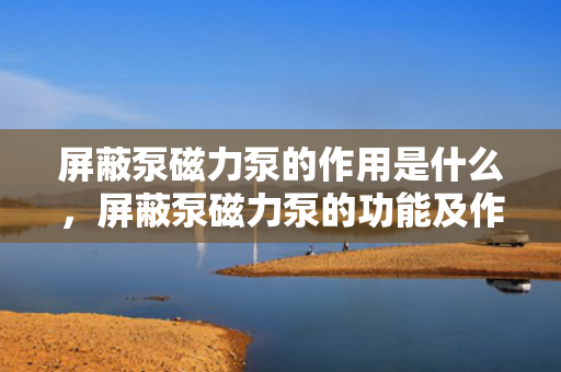屏蔽泵磁力泵的作用是什么，屏蔽泵磁力泵的功能及作用解析