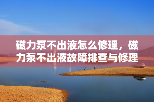 磁力泵不出液怎么修理，磁力泵不出液故障排查与修理指南