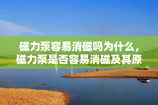 磁力泵容易消磁吗为什么，磁力泵是否容易消磁及其原因解析